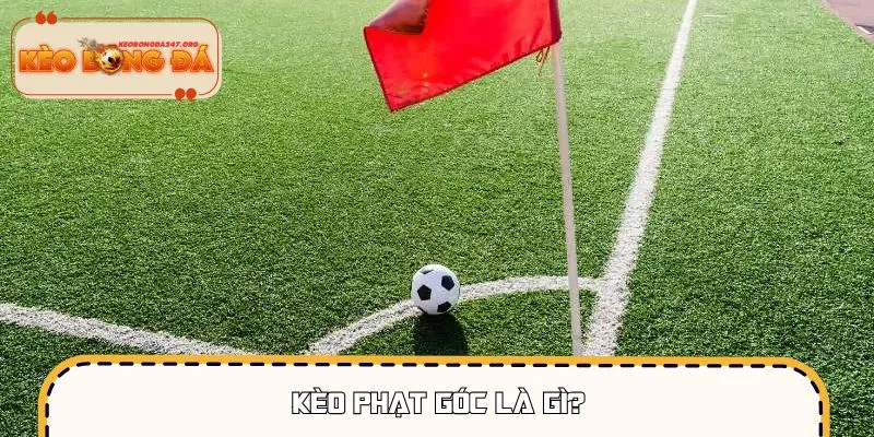 keo-phat-goc-la-gi