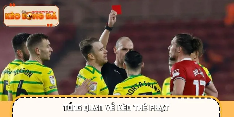 keo-the-phat-tong-quan