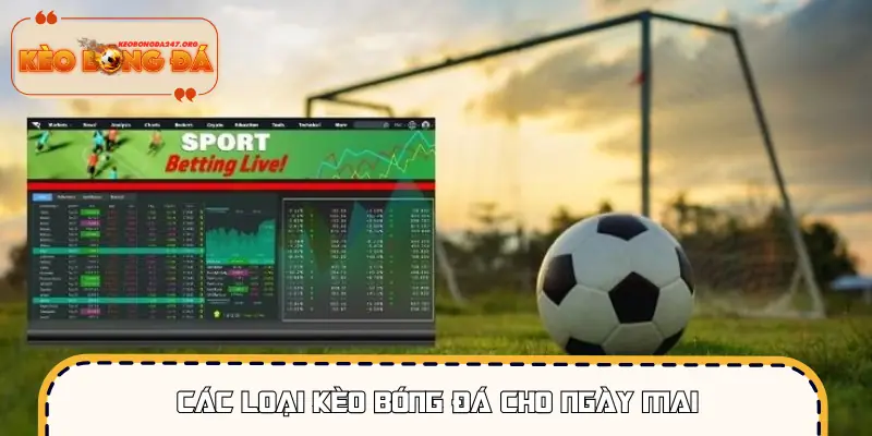 Top kèo bóng đá ngày mai đáng để xuống tiền