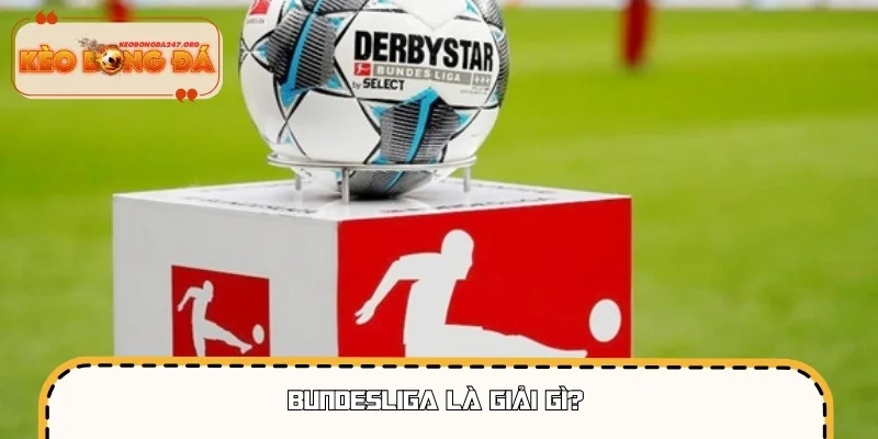 Bundesliga: Quy Luật Vận Hành Của "Cỗ Xe Tăng" Đức