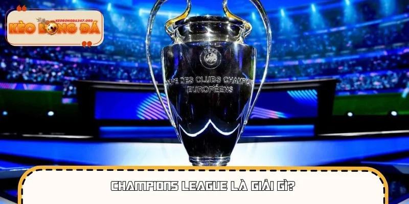 Champions League: Danh Vọng Và Quyền Năng Của Cúp Tai Voi